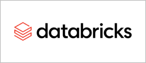 Databricks Development Services