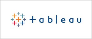 Tableau Development Service